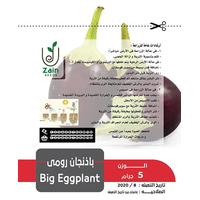 بذور باذنجان رومي من زين سيدز للزراعة المنزلية- 2 جرام